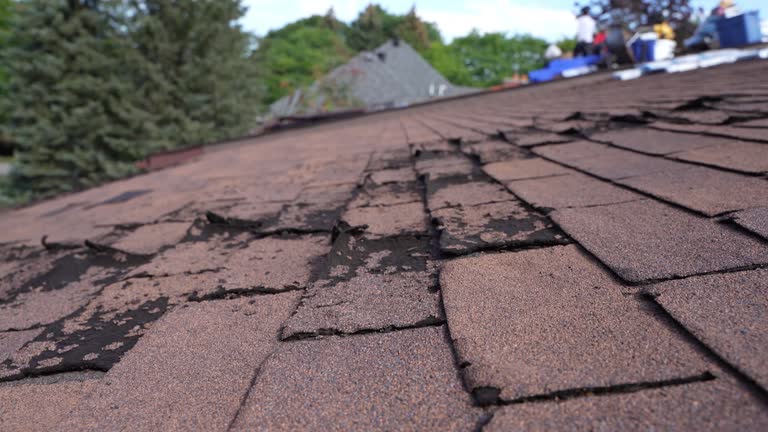 Fast & Reliable Emergency Roof Repairs in Reese, MI